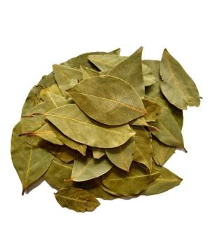 FOLHA DE LOURO GABRIELA 20 GR