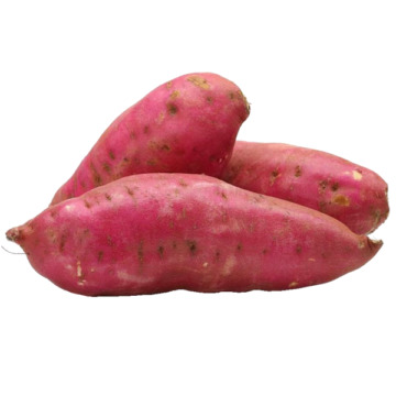 BATATA DOCE 1UN 616G